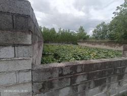 314 متر زمین ساحلی